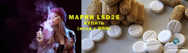 амф Богданович