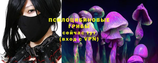 синтетический гашиш Богородицк