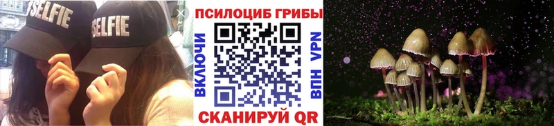 Псилоцибиновые грибы Psilocybe  MEGA   Кораблино 